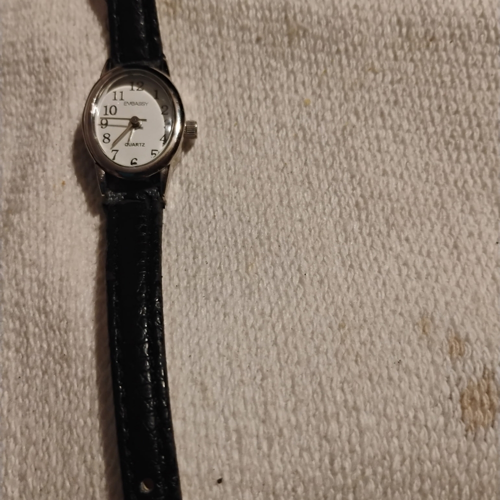 Embassy Watch - Picture 4 of 4